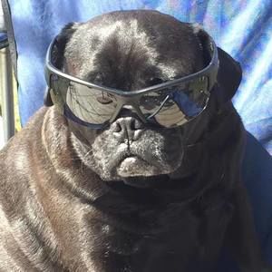 Meet your Posher, Scott